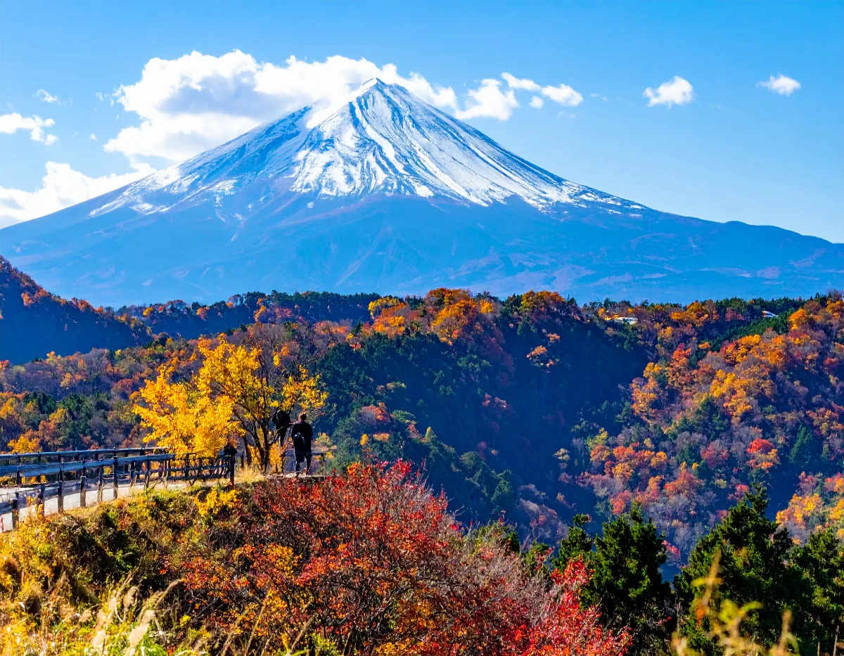 行程表はいつまでに出せばいい?提出のタイミング