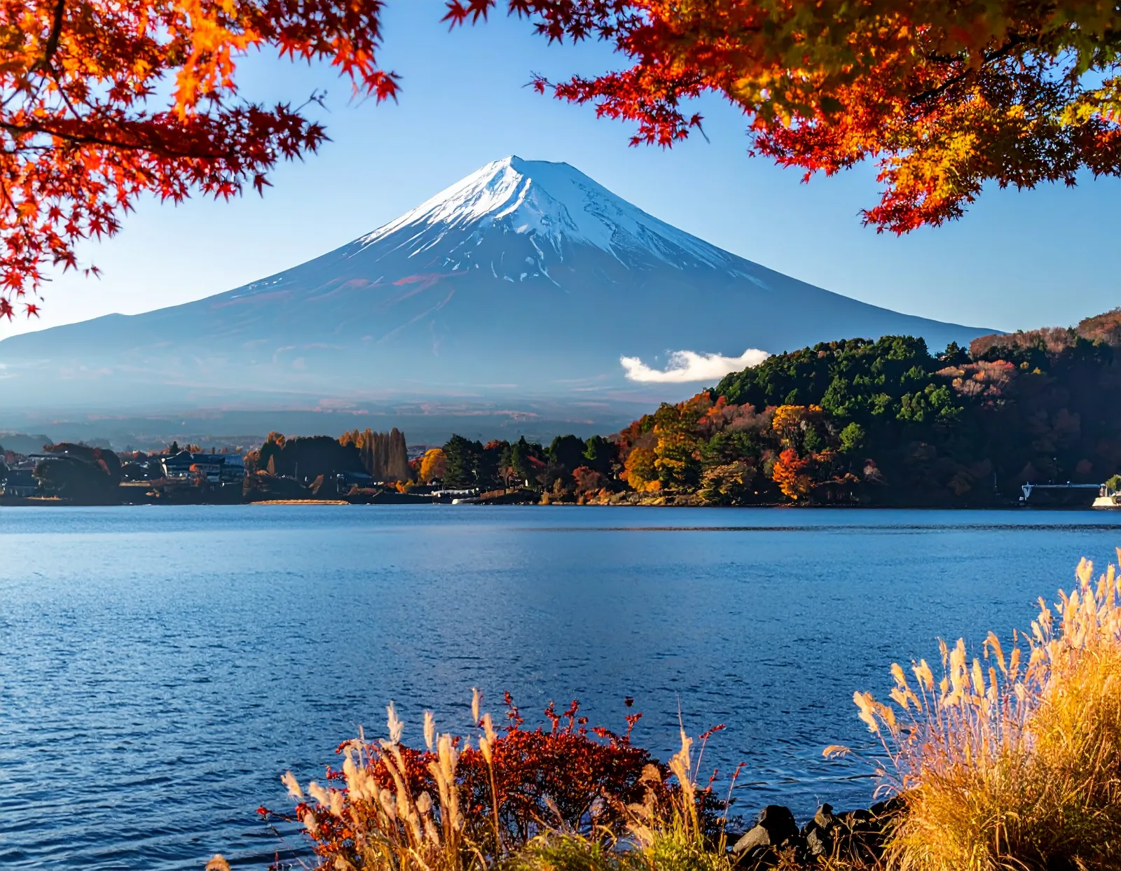 Luxury Small-Group Charter Bus in Japan