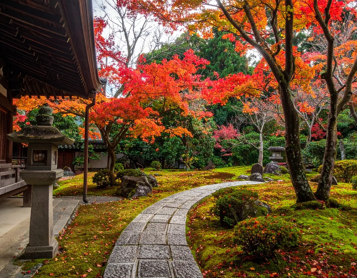 The Short Answer: US Thanksgiving (Nov 26) Lands 3 Days After Japan's Own Holiday Weekend -- and Right in Peak Foliage