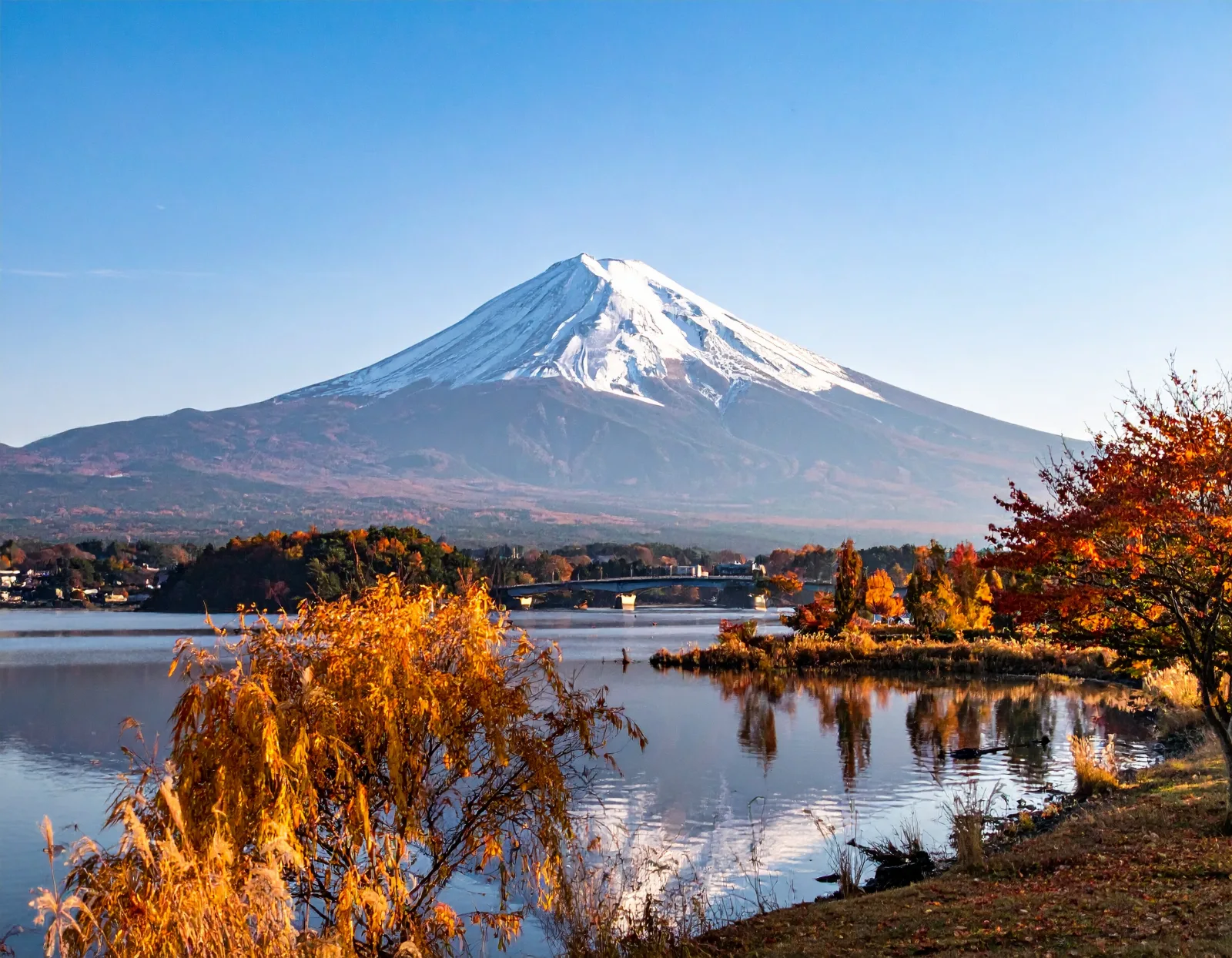 Thanksgiving Group Travel in Japan