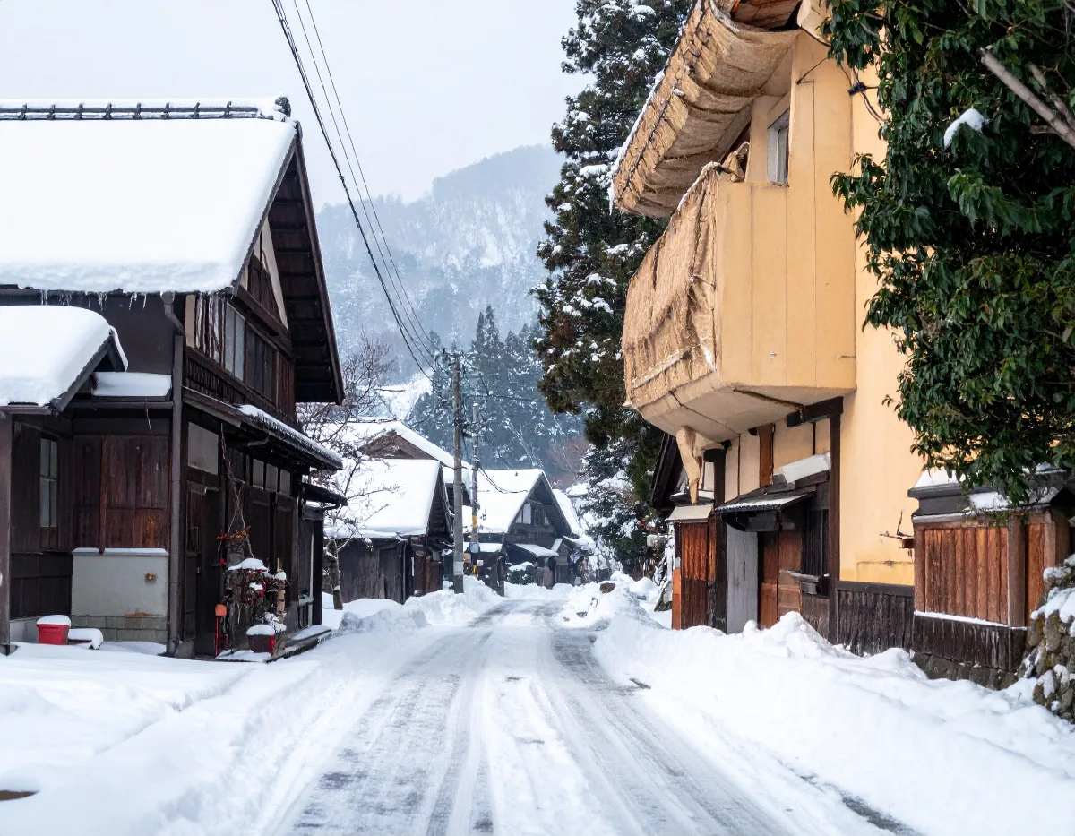 Beyond Miyama -- Osaka-Departure Access to Hidden Kansai Winter Light Spots