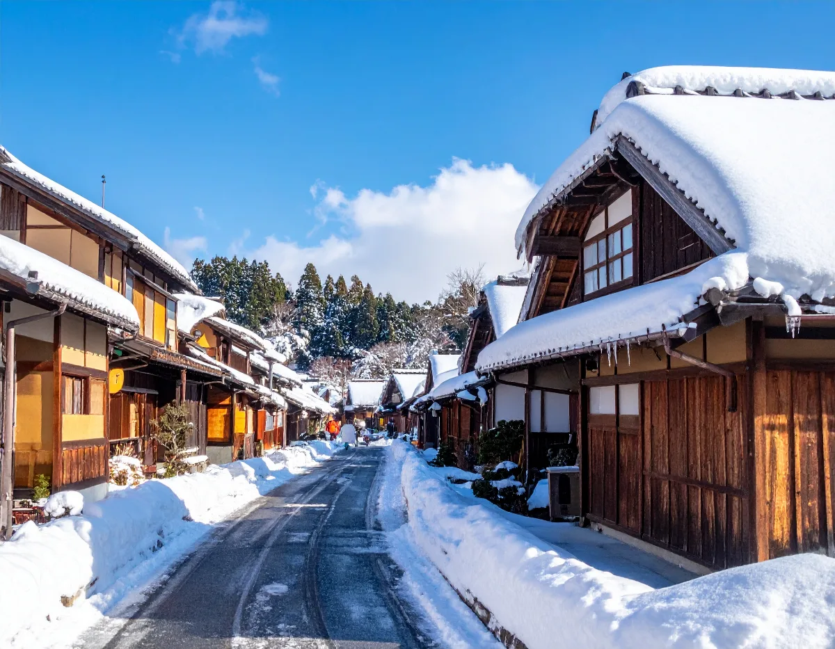 What Actually Happens on a Kansai One-Day Bus Tour to Kyoto and Nara (The Real Itinerary)