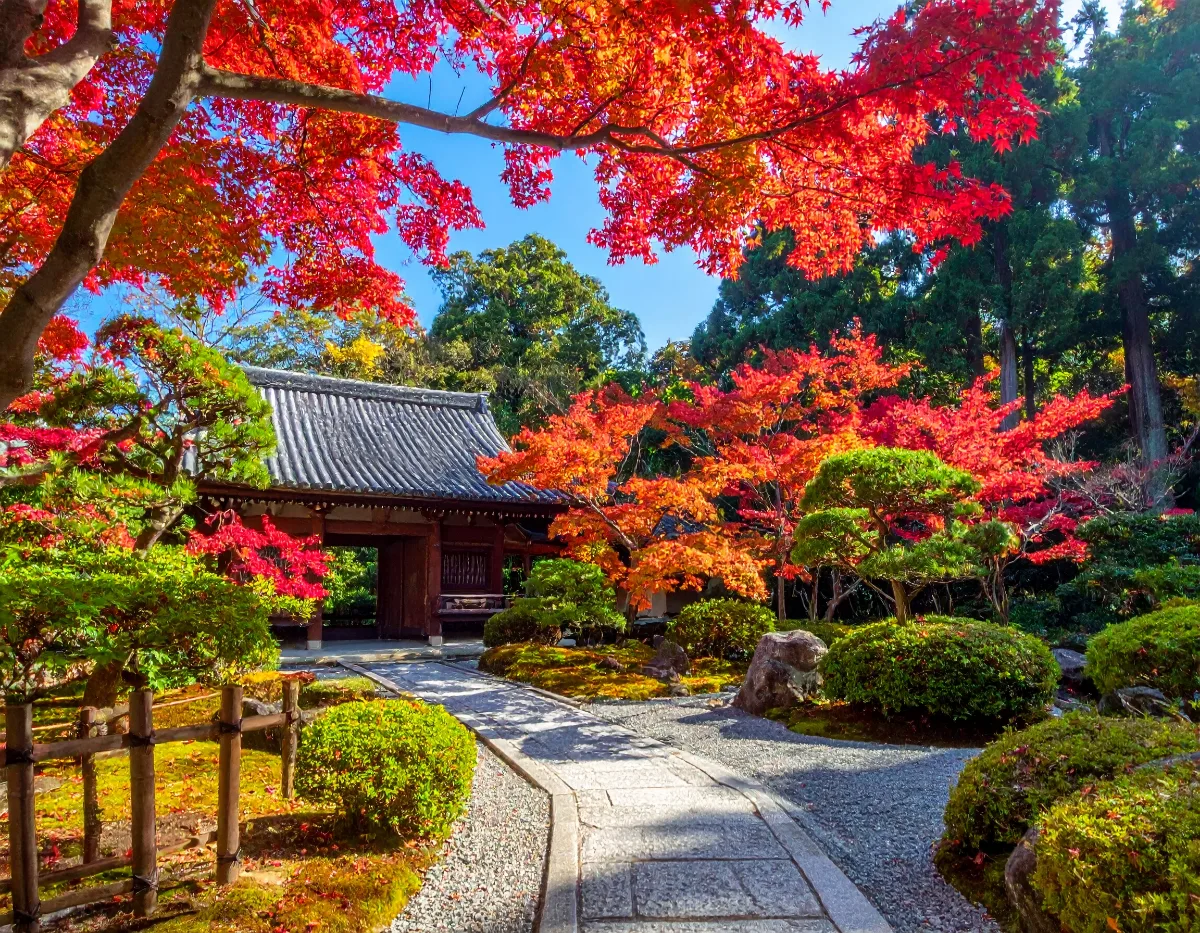 Beyond Fushimi Inari and the Deer: Quiet Nara Stops Most Tours Skip