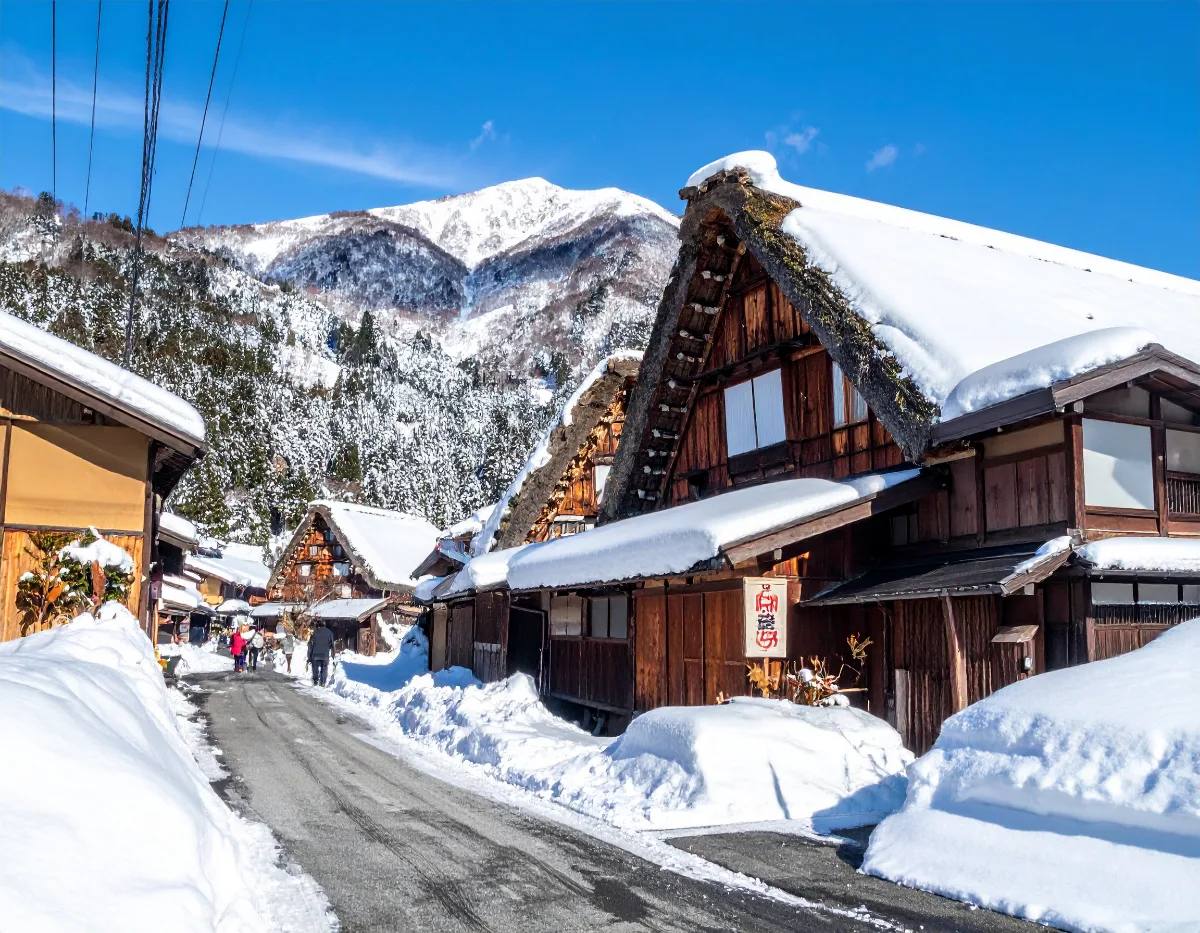 Winter Illumination Bus Tour Charters From Osaka & Kyoto — No Car Needed