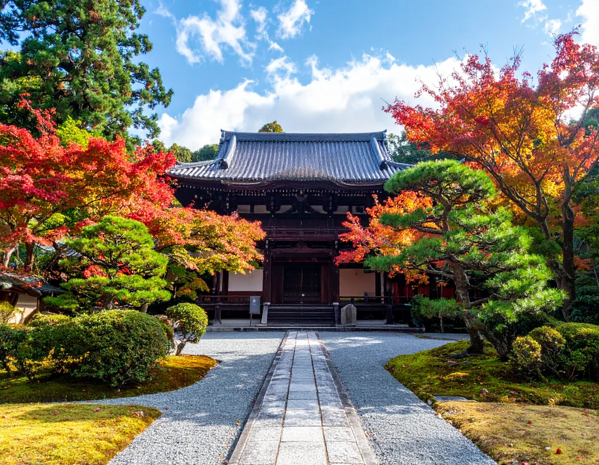 Where Should Schools Turn for Japan Bus Transportation?