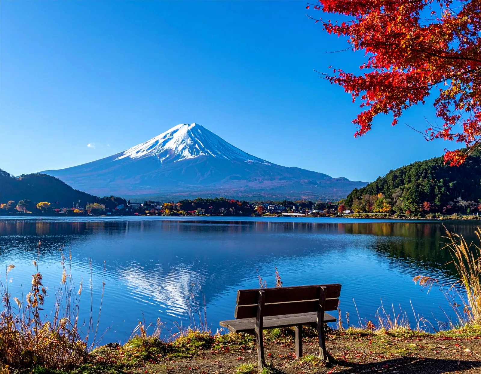 International Student Bus Tours