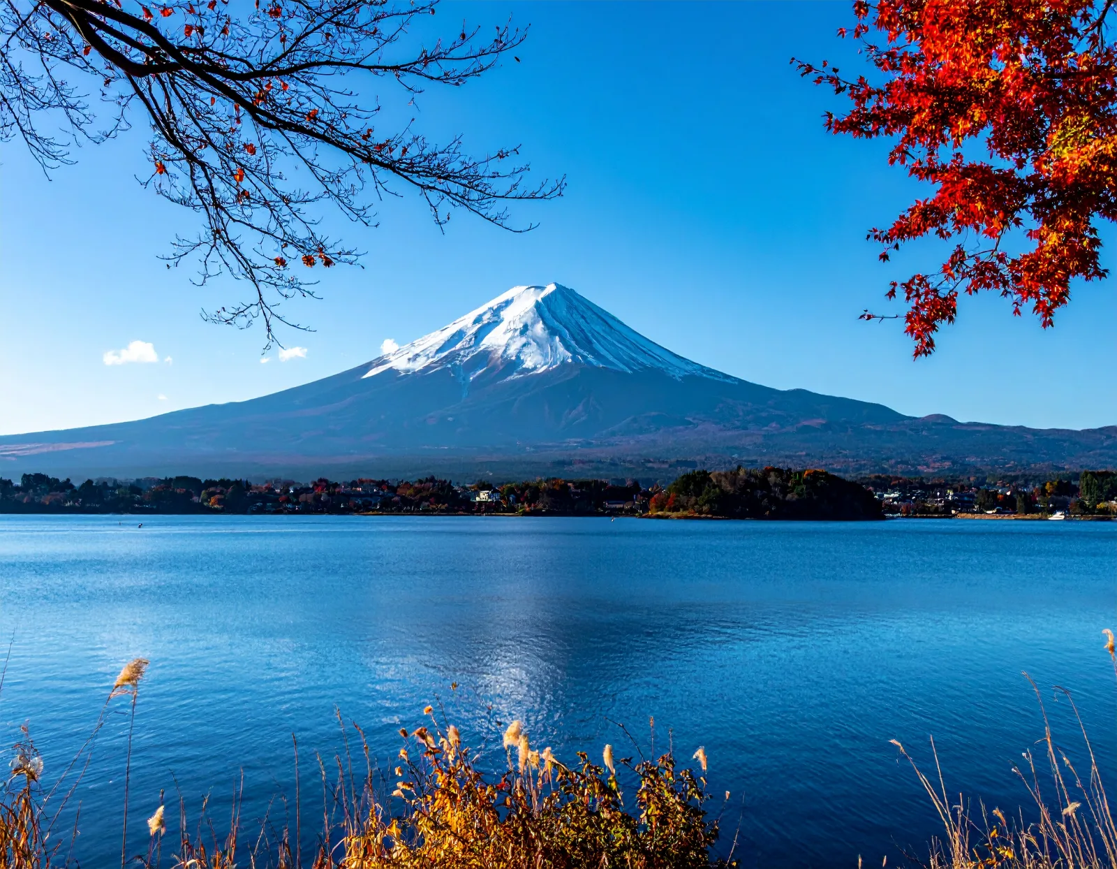 Winter Illumination Bus Tours: Kansai Charters