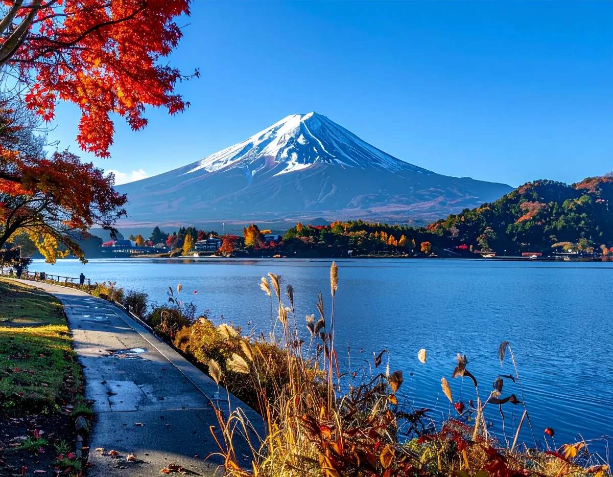How Crowded Does Japan Get During This Window?