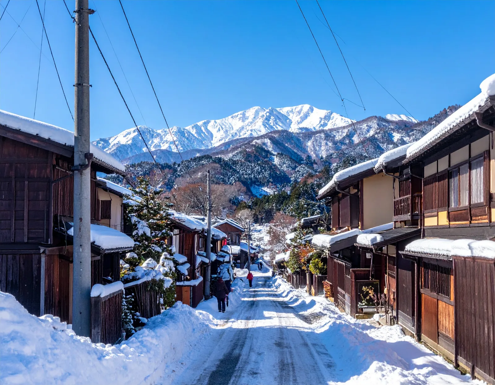Thanksgiving Group Travel in Japan: 2026 Bus Guide