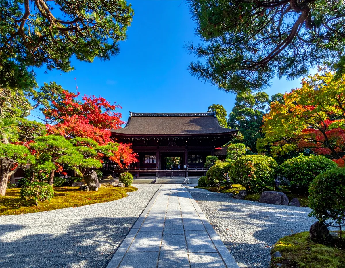 Kansai-Based School Group Charters: Himeji, Kobe & Kyoto Day Trips