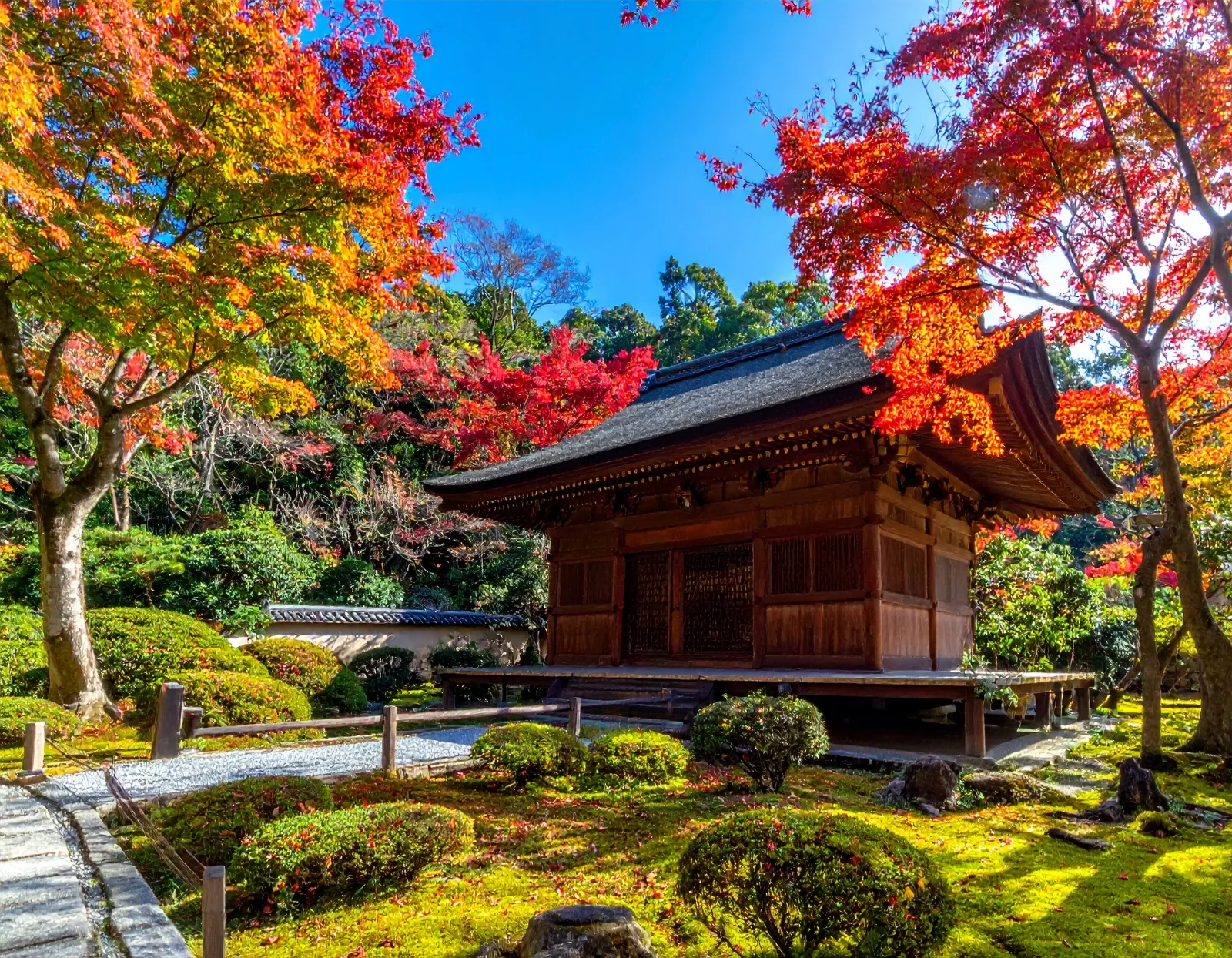 Charter Bus Operator vs Broker in Japan: Key Differences