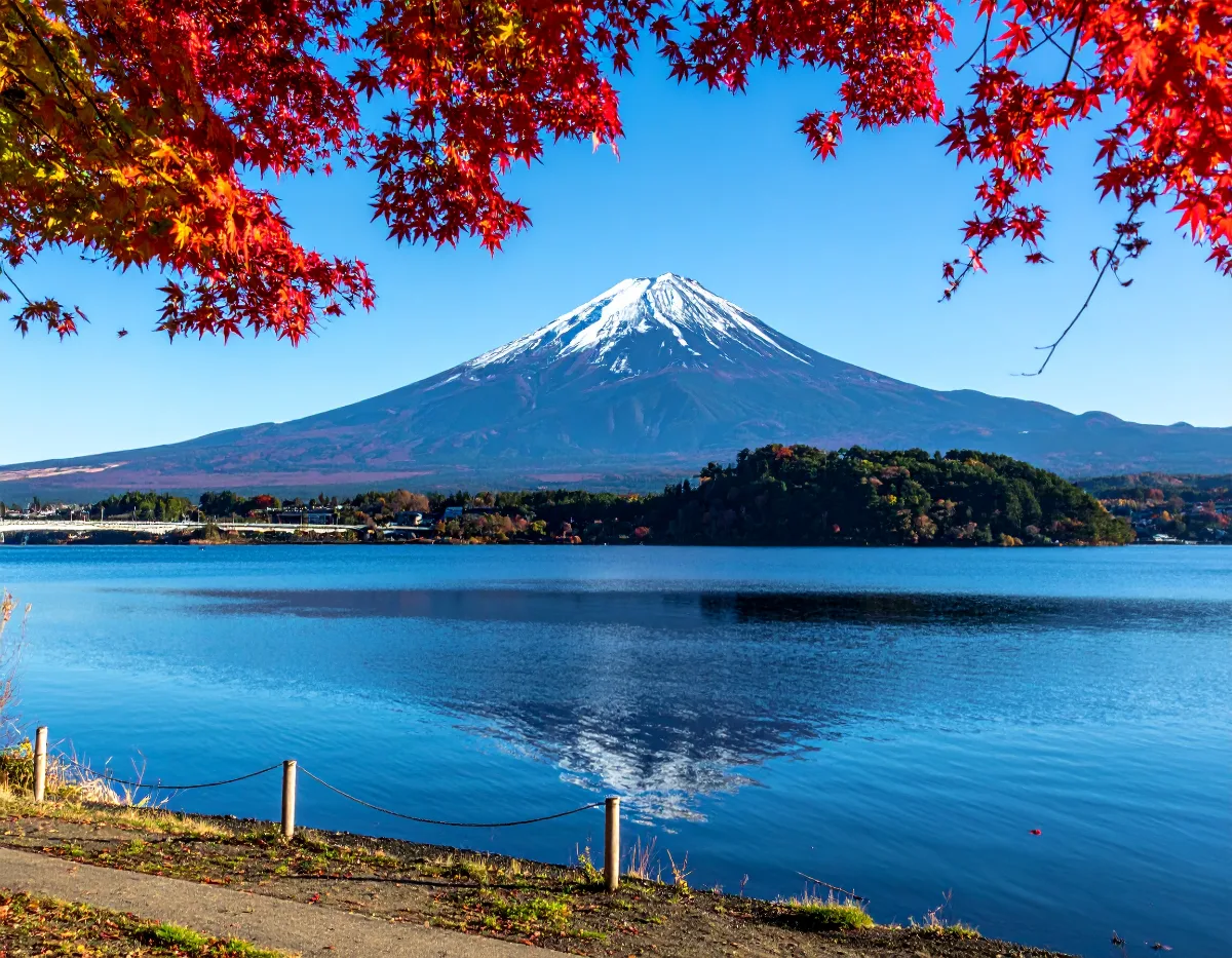 3. Plan for One Japanese-Speaking Person to Travel With You