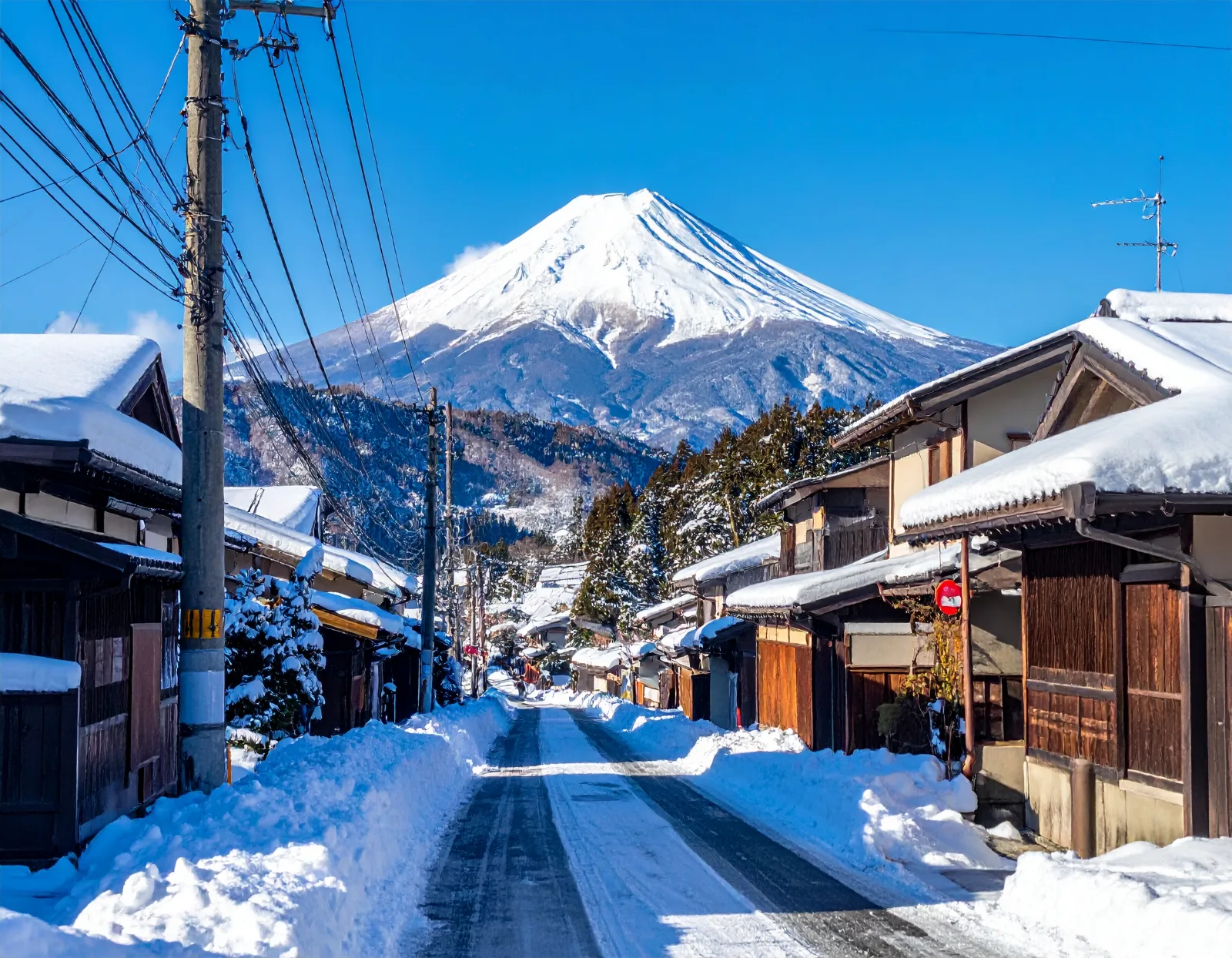 Japan Bus Tour Tips: 7 Essentials for First-Time Foreign Tourists