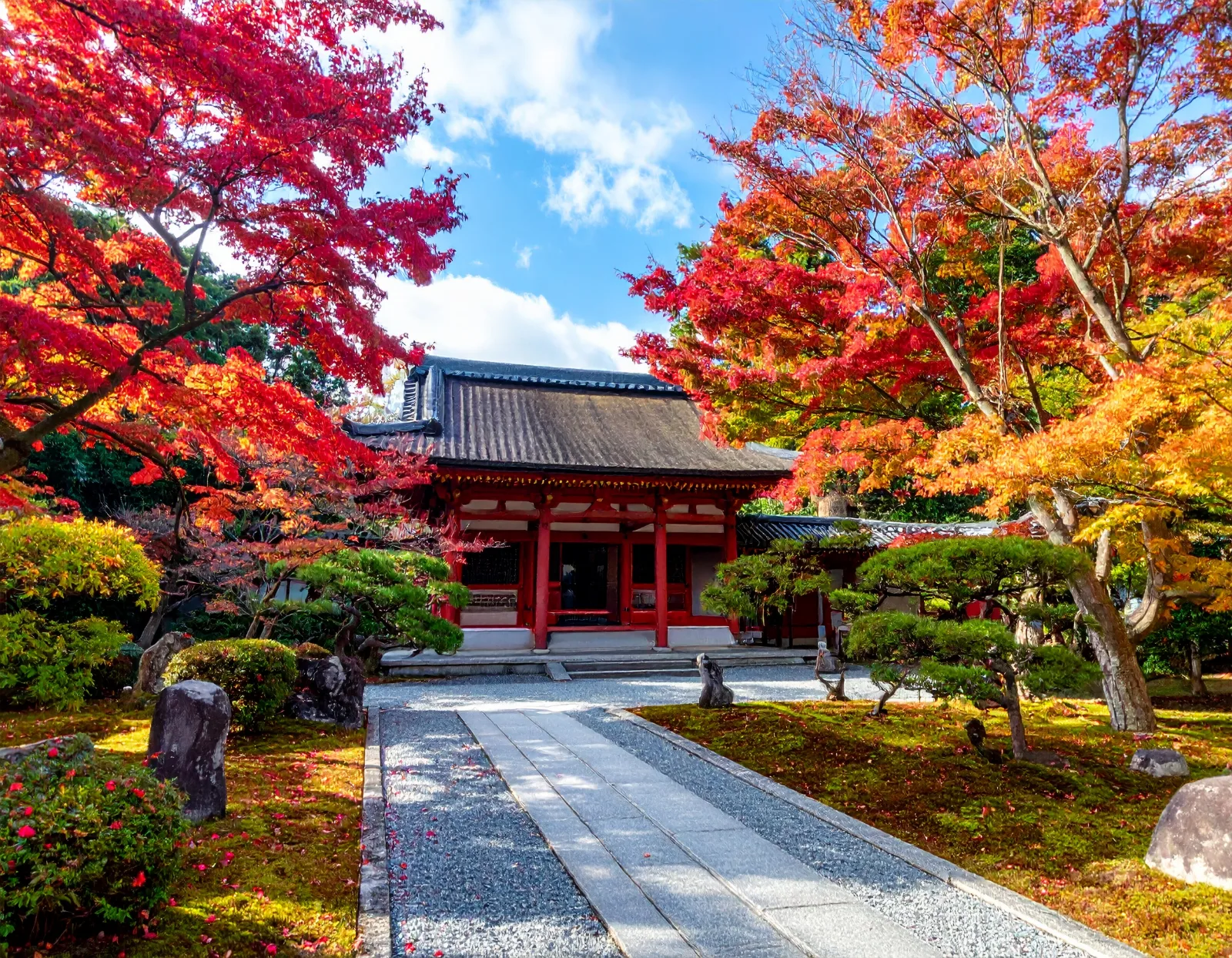 Hiroshima & Miyajima Private Bus Day Trip Guide