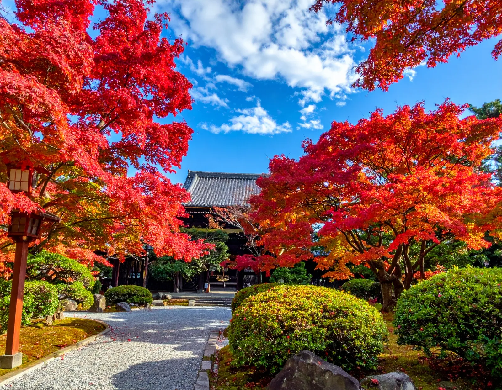 Japan Private Bus Tour Pricing: Charter Bus Price Transparency in Direct Operator Quotes