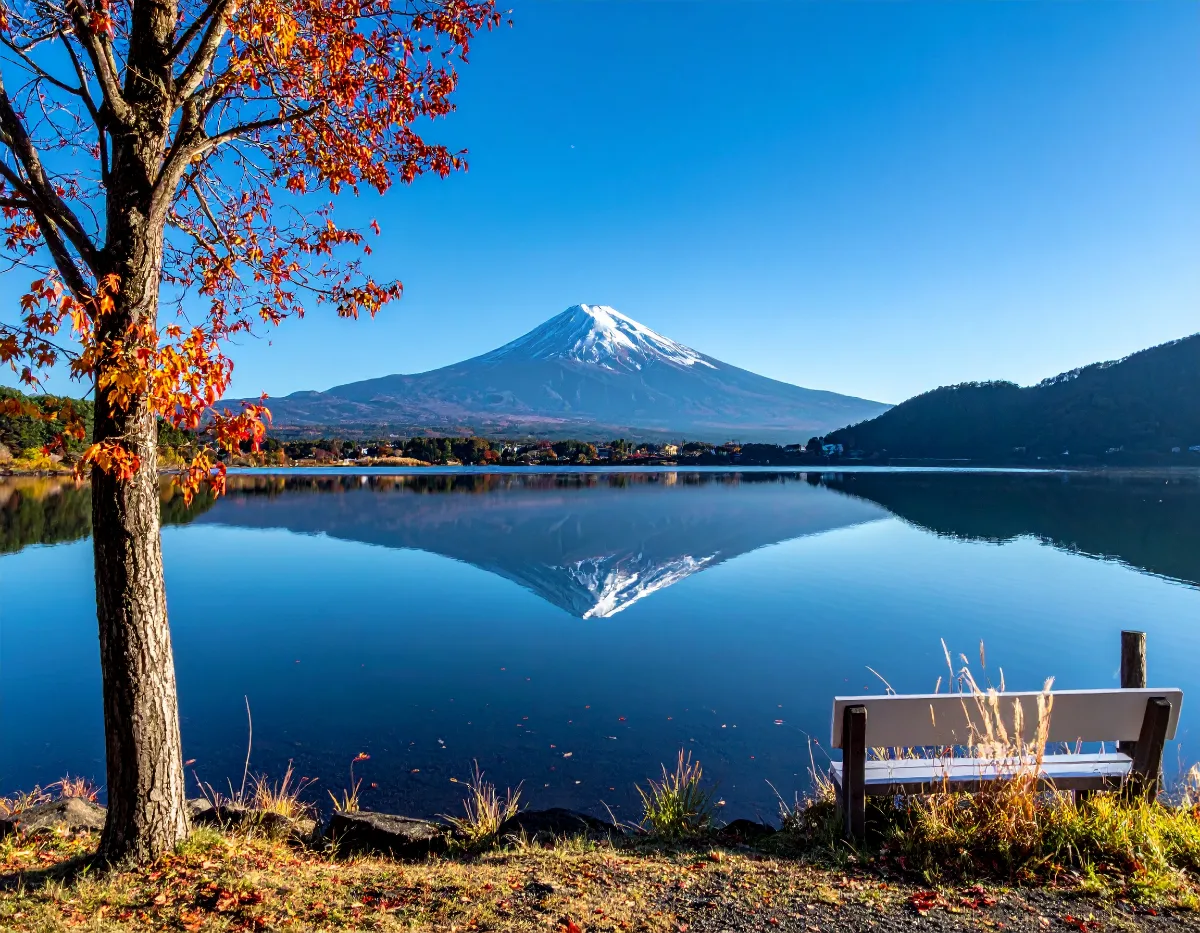 Why a Private Charter Bus Is the Easiest Way to See Fuji and Hakone in One Day