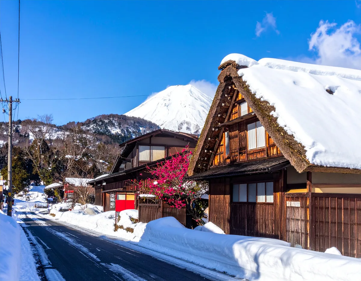 What to Know About the 2026 Mt. Fuji Trail Reservation