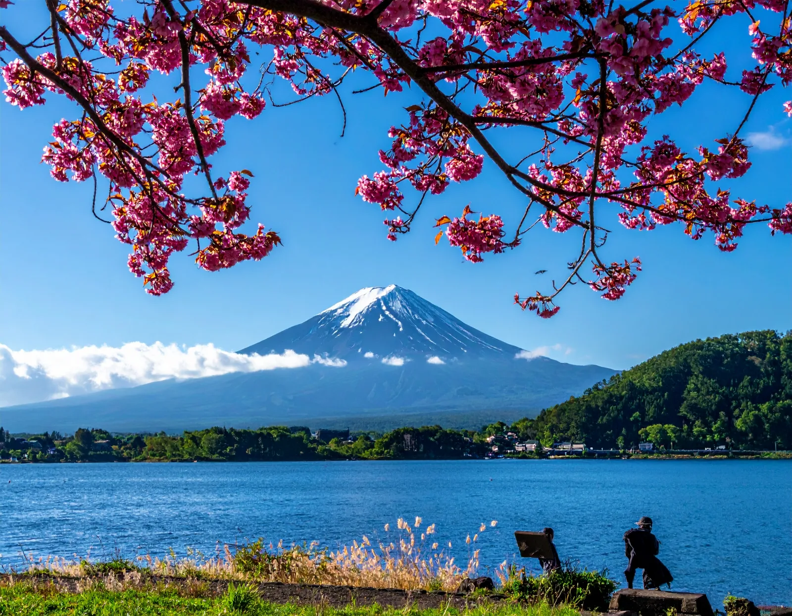 Hokkaido Private Charter Bus Tour: Lavender Fields, Blue Pond & Furano