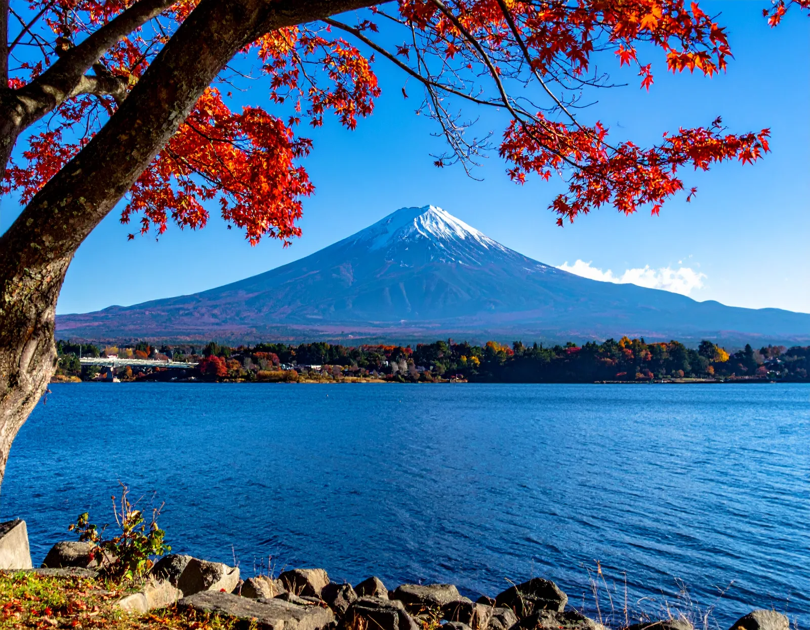 Tokyo Mt. Fuji & Hakone Day Trip: Private Charter Bus