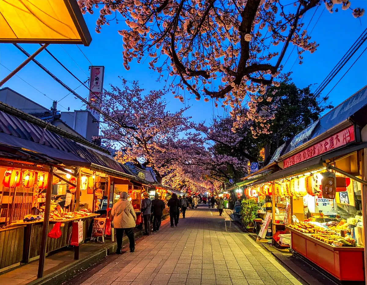 A Private Bus Route Through Fukuoka, Yufuin, Beppu, Aso and Kumamoto