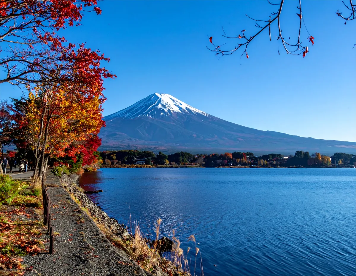 Can You Really See Kyoto and Nara in One Day by Bus? (Yes -- Here's the Route)