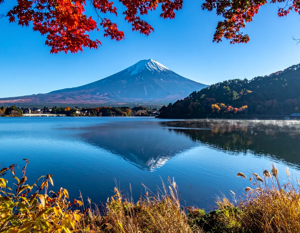 Private Charter vs. Fixed-Route Tours: What Actually Changes