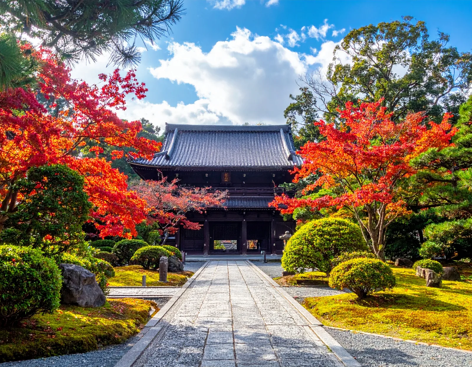 Kansai One-Day Private Bus Tour: Kyoto & Nara