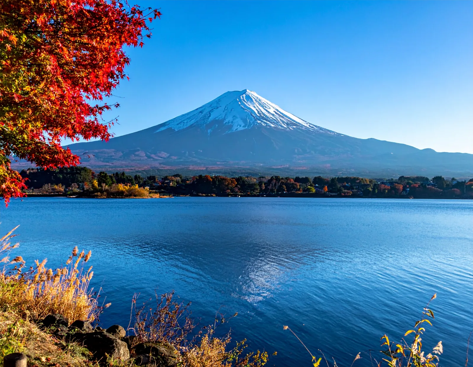 Arashiyama and Nara in One Day: Private Charter Bus Trip from Osaka