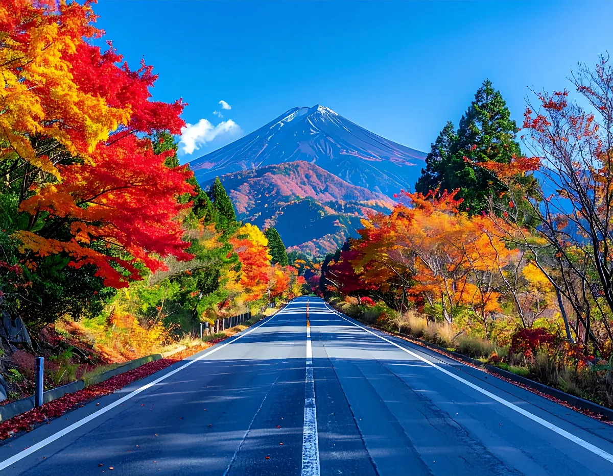社員旅行1泊2日のバス旅、まず押さえるべき行程と費用感