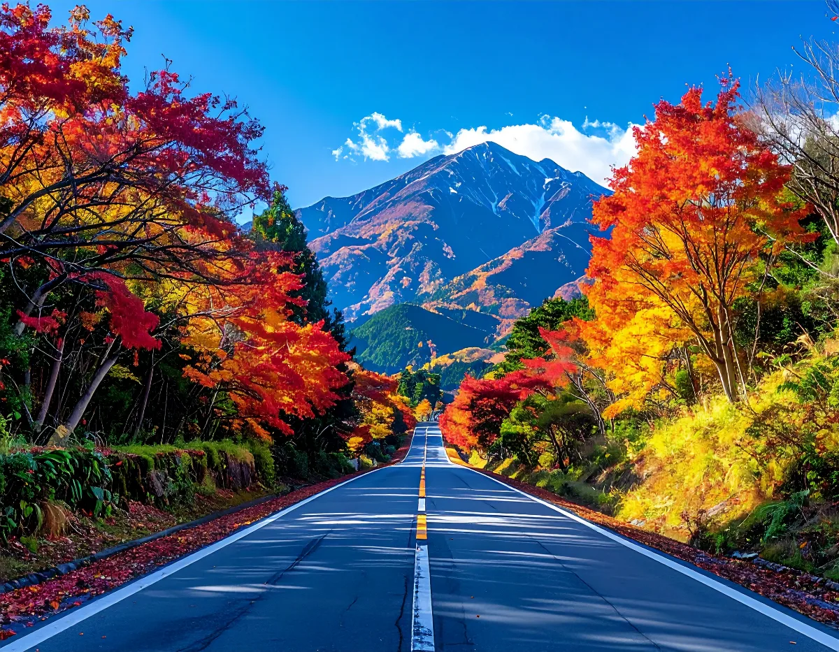 近畿エリアでどんな視察先を組み合わせられる?