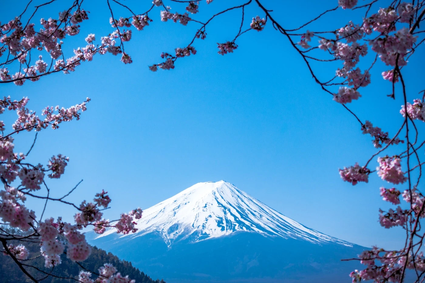 Mt. Fuji